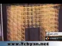 بزرگترین سازه ماکارونی - setare