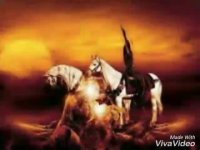 عکس هایی از شهید حججی