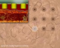 کاربرد لیزر برای جذب دارو به پوست و بدن