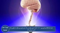 10 تا از نکات جالب درباره مغز انسان ها