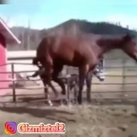 وقتی عیدی میگیری   #کانال_گیزمیز