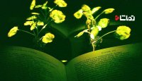 استفاده از گیاهان درخشان به جای لامپ!