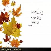 دلتنگ که باشی پاییز نزدیکتر است ، همایون شجریان