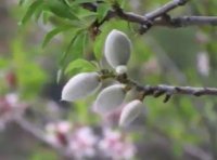 معما توضیحات رو بخونید