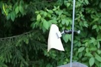 واکنش شیمیایی محلول فسفر سفید و دی اکسید کربن