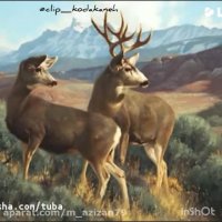 لالایی کودکانه - ترانه شاد کودک - 2235