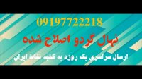 فروش عمده نهال گردو چندلر 09121270623