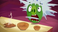 تریلر فصل سوم "Angry Birds Toons"