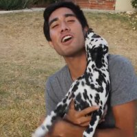 خلاقیت زچ کینگ - سگ خال دار