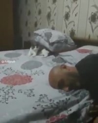 کرم ریختنای قبل از تو سوئ تفاهم بود