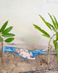 کلیپ خنده دار اینستا : آخر هفته