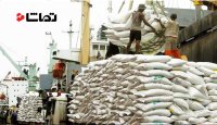 ممنوعیت واردات برنج