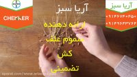 علف کش تضمینی برای مزارع گندم  جو و چاودار | CHEKKER