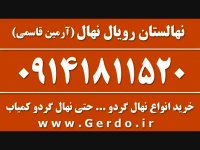 خرید نهال گردو هارتلی پیوندی 09141811520