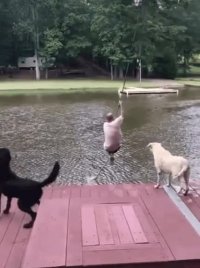 محبت سگ ها بی نظیره