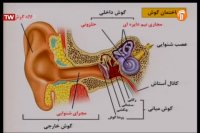 علوم تجربی پایه هشتم - 20 خرداد