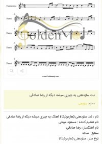 نت سازدهنی یه چیزی میشه دیگه از رضا صادقی