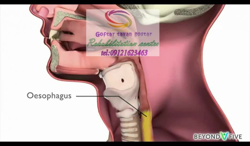 گفتاردرمانی البرز 09121623463|زورآباد خیابان جانبازان فرعی15