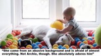 Traumatized Rescue Dog Finds Comfort In Her 11-Month Old Baby Best Friend