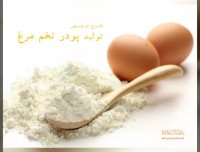 طرح توجیهی پودر تخم مرغ
