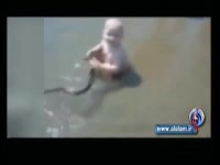 مار زنده، سرگرمی کودک بازیگوش