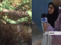 گزارش جنجالی از پشت پرده الودگی رودخانه کارون ، خبرنگار امین فردین