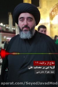 دفاع از ولایت - 16 - گریه نبی بر مصائب علی