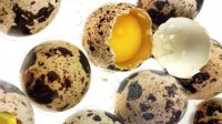 به جای تخم مرغ، تخم بلدرچین مصرف کنید