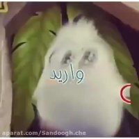 کلیپ کودکانه