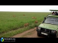 بام آفریقا کلیمانجارو