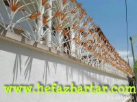 حفاظ شاخ گوزنی 09121351284