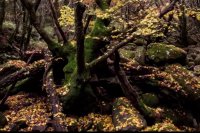 طبیعت خارق العاده کره