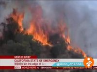 آتش سوزی در جنگل های لس آنجلس