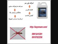 فرو ش سم بسیارموثر و کاری مارمولک با قیمتی مناسب