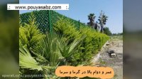 فنس چمنی ❎ چمن مصنوعی ❎صنایع تولیدی پویا سبز آذین ❎ pouyasabz.com