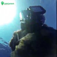 ماهی گیری در هاوایی - کافه گردش