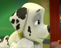 سگ های نگهبان 5