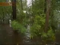 خسارت جبران ناپذیر طوفان فلورانس