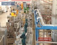 محصولات غنی شده با ویتامین D