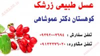 خواص عسل طبیعی زرشک - خرید عسل طبیعی از فروشگاه عسل کوهستان