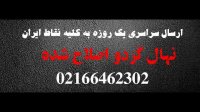 قیمت خرید و فروش انواع نهال گردو در اهر | 09121263524
