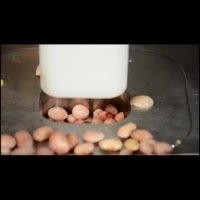 دستور آسان آشپزی: خوراک مرغ فلفلی