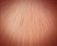 دانلود انیمیشن زندگی خصوصی حشرات 2006 - قسمت 11 - رویای حلزونی