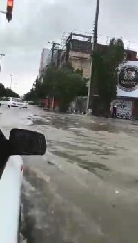 بوشهر به "ونیز" تبدیل شد!