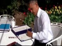 وتوی یک وتو!