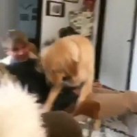 وقتی سگت خیلی دیگه باهات احساس راحتی کنه!