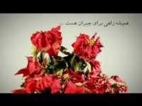 سید محمد امین بیدکی بیمه پاسارگاد 3555 یزد