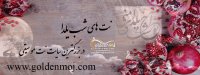 نت شب یلدا برای تمام سازها در سایت goldenmoj