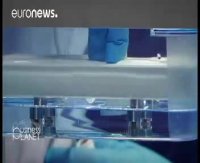 لیون، دومین دژ محکم کارآفرینی در فرانسه