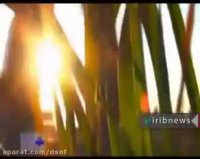 در مسیر عاشقی